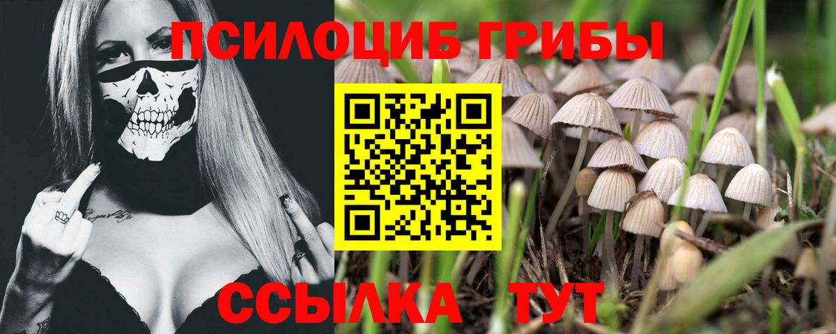 Галлюциногенные грибы MAGIC MUSHROOMS Ухта